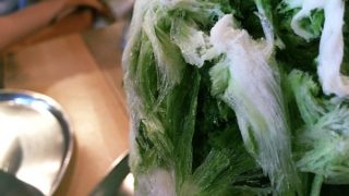 hihumiで極上の「わたかき氷」を堪能してきたよ